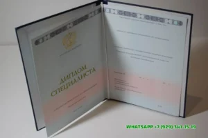 Купить диплом АПИ — Академического правового института в Севастополе